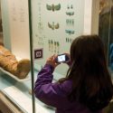 Augmented Reality and Museums: Beyond the Hype