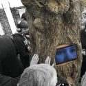 Collections: Social Responsibility, Cultural Sustainability