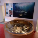 David McCabe Design