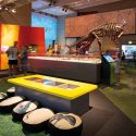 Dinosaurs and Design Thinking: Innovation and Collaboration
