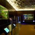 Encyclopaedic vs. Experience: Immersion, participation and storytelling