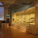 Museum Vision: Adding Value through Museum Learning