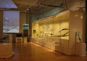 Museum Vision: Adding Value through Museum Learning