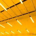 Museum Ideas 2025 Conference, London  – 9 Oct