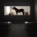 Preserving Digital Art: the Innovation Adoption Lifecycle