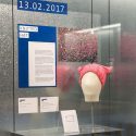 Rapid Response Collecting: Social and political change