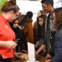 The Rumble Museum at Cheney School — Turning a School into a Museum