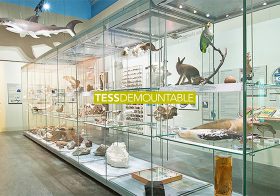 TESS Demountable